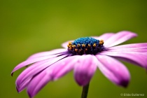 October 2017 Photo Contest 2nd Place Prize Winner