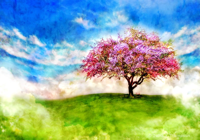 Photography Contest Grand Prize Winner - In Dreams