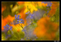 May 2010 Photo Contest 2nd Place Prize Winner