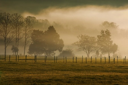 Photo Contest 1st Place Prize Winner