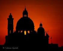 March 2011 Photo Contest 2nd Place Prize Winner