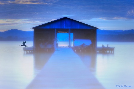 Photo Contest 1st Place Prize Winner