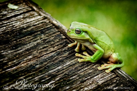 Photo Contest 1st Place Prize Winner