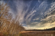 November 2010 Photo Contest 2nd Place Prize Winner