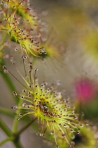 November 2010 Photo Contest 2nd Place Prize Winner