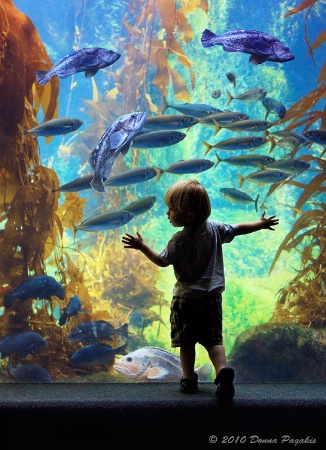 Photo Contest 1st Place Prize Winner