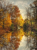 November 2010 Photo Contest 2nd Place Prize Winner