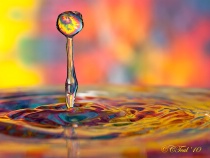 November 2010 Photo Contest 2nd Place Prize Winner
