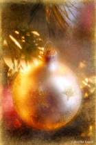 November 2011 Photo Contest 2nd Place Prize Winner