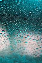 September 2018 Photo Contest 2nd Place Prize Winner