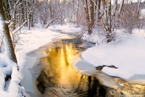 February 2011 Photo Contest 2nd Place Prize Winner