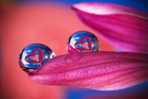 February 2011 Photo Contest 2nd Place Prize Winner