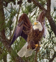 February 2011 Photo Contest 2nd Place Prize Winner