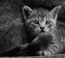 March 2011 Photo Contest 2nd Place Prize Winner