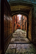 March 2011 Photo Contest 2nd Place Prize Winner