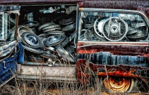 March 2011 Photo Contest 2nd Place Prize Winner