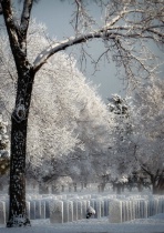 March 2011 Photo Contest 2nd Place Prize Winner