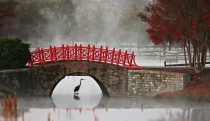 March 2011 Photo Contest 2nd Place Prize Winner