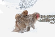 March 2011 Photo Contest 2nd Place Prize Winner