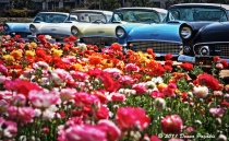September 2015 Photo Contest 2nd Place Prize Winner