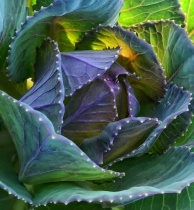 October 2011 Photo Contest 2nd Place Prize Winner