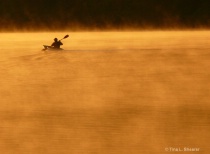 June 2011 Photo Contest 2nd Place Prize Winner