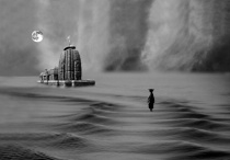 June 2011 Photo Contest 2nd Place Prize Winner