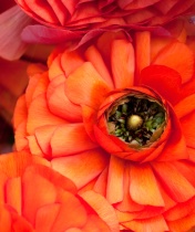 August 2011 Photo Contest 2nd Place Prize Winner