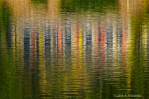 August 2011 Photo Contest 2nd Place Prize Winner