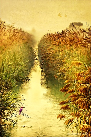 Photo Contest 1st Place Prize Winner