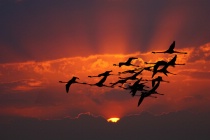 September 2011 Photo Contest 2nd Place Prize Winner