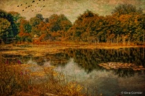 September 2011 Photo Contest 2nd Place Prize Winner