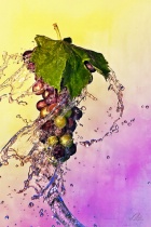 September 2011 Photo Contest 2nd Place Prize Winner
