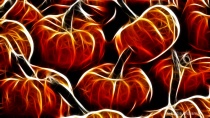 October 2011 Photo Contest 2nd Place Prize Winner