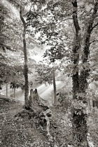 October 2011 Photo Contest 2nd Place Prize Winner