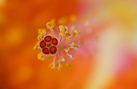 Photo Contest 1st Place Prize Winner