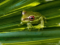 November 2011 Photo Contest 2nd Place Prize Winner