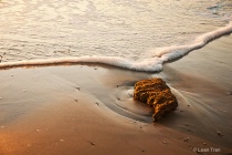 November 2011 Photo Contest 2nd Place Prize Winner