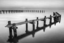 December 2011 Photo Contest 2nd Place Prize Winner