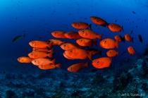 January 2012 Photo Contest 2nd Place Prize Winner