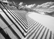 December 2011 Photo Contest 2nd Place Prize Winner