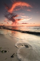 January 2012 Photo Contest 2nd Place Prize Winner