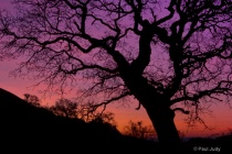 January 2012 Photo Contest 2nd Place Prize Winner
