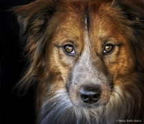 January 2012 Photo Contest 2nd Place Prize Winner