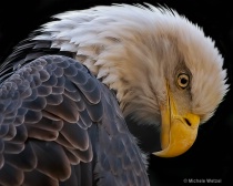 January 2012 Photo Contest 2nd Place Prize Winner