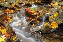 March 2012 Photo Contest 2nd Place Prize Winner