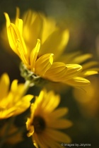 February 2012 Photo Contest 2nd Place Prize Winner