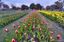 September 2018 Photo Contest 2nd Place Prize Winner