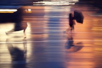March 2012 Photo Contest 2nd Place Prize Winner