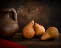 March 2012 Photo Contest 2nd Place Prize Winner